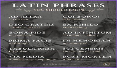 A Profile Of A Latin Beauty